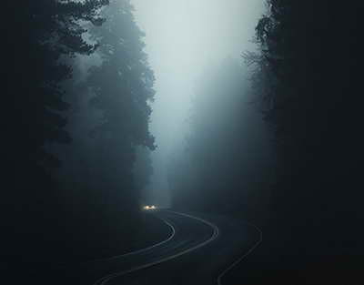 “Есеп үшін ашылған филиалдардың қажеті жоқ“. Президент Үкіметке маңызды тапсырма берді