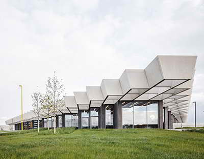 Sümük sağlamlığı üçün faydalı: Kalsiumla zəngin 10 ot və ədviyyat