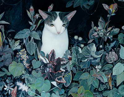 Yaz aylarında müşahidə olunan xəstəliklər