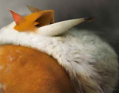 Qorxulu kəşf: Anadolu iki yerə bölünəcək?